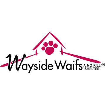 Wayside Waifs is a no kill shelter based in Kansas City. Artisan Branding Company Causes